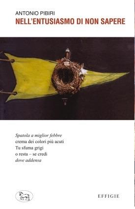 Nell'entusiasmo di non sapere - Antonio Pibiri - Libro Effigie 2023 | Libraccio.it