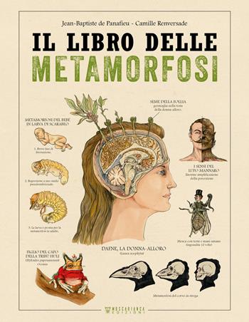 Il libro delle metamorfosi - De Panafieu Jean-Baptiste, Camille Renversade - Libro Moscabianca Edizioni 2023 | Libraccio.it