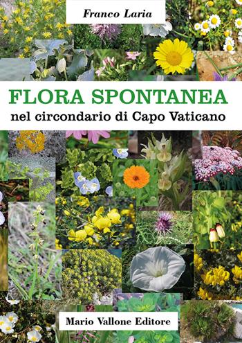 Flora spontanea nel circondario di Capo Vaticano. Ediz. illustrata - Franco Laria - Libro Mario Vallone 2018 | Libraccio.it