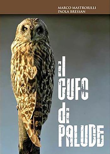 Il gufo di palude - Marco Mastrorilli, Paola Bressan - Libro Noctua Book 2011, Le orme | Libraccio.it