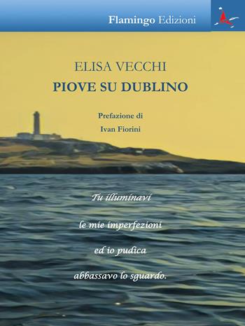 Piove su Dublino - Elisa Vecchi - Libro Flamingo Edizioni 2018, Nuove realtà spazio-temporali | Libraccio.it