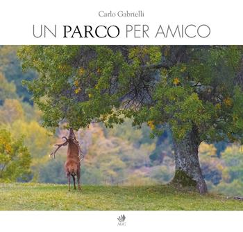 Un parco per amico - Carlo Gabrielli, Maria Luisa Tinti - Libro AGC 2020, CasentinoPiù | Libraccio.it