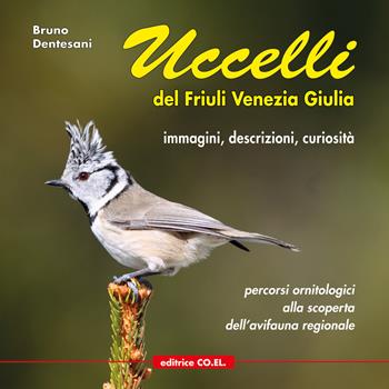 Uccelli del Friuli Venezia Giulia. Immagini, descrizioni, curiosità. Percorsi ornitologici alla scoperta dell'avifauna regionale. Ediz. illustrata. Vol. 1 - Bruno Dentesani - Libro Editrice CO.EL. 2011 | Libraccio.it