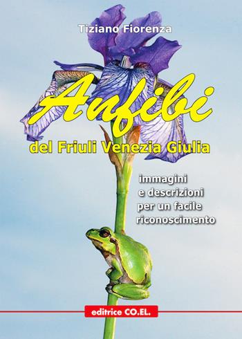 Anfibi del Friuli Venezia Giulia. Immagini e descrizioni per un facile riconoscimento. Ediz. illustrata - Tiziano Fiorenza - Libro Editrice CO.EL. 2019 | Libraccio.it