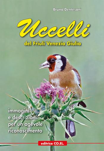 Uccelli del Friuli Venezia Giulia. Immagini e descrizioni per un agevole riconoscimento - Bruno Dentesani - Libro Editrice CO.EL. 2022 | Libraccio.it