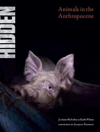 Hidden. Animals in the Anthropocene. Ediz. a colori - Jo-Anne McArthur, Keith Wilson - Libro Safarà Editore 2021, Animalia | Libraccio.it