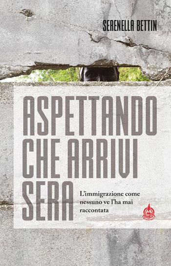 Aspettando che arrivi sera. L'immigrazione come nessuno ve l'ha mai raccontata - Serenella Bettin - Libro Male 2019 | Libraccio.it