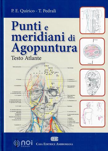 Punti e meridiani di agopuntura - Piero Ettore Quirico, Tiziana Pedrali - Libro Noi 2013 | Libraccio.it