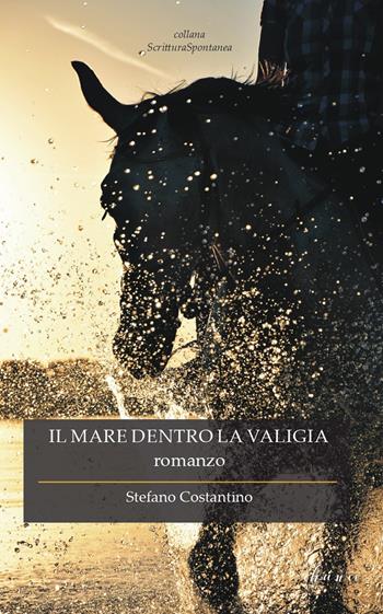 Il mare dentro la valigia - Stefano Costantino - Libro Chance Edizioni 2019, Scrittura spontanea | Libraccio.it