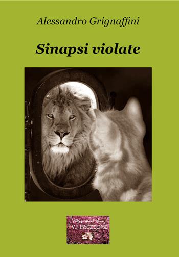 Sinapsi violate. La mutevole instabilità della ragione - Alessandro Grignaffini - Libro VJ Edizioni 2020, Parole nuove | Libraccio.it