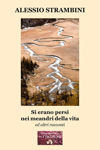 Si erano persi nei meandri della vita - Alessio Strambini - Libro VJ Edizioni 2020, Parole nuove | Libraccio.it