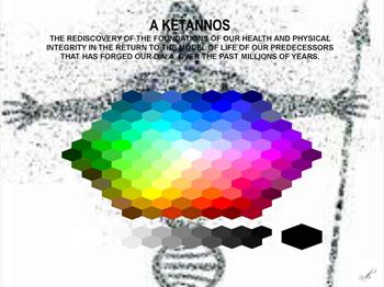 A kentannos. The rediscovery of the foundations of our health and physical integrity in the return to the model of life of our predecessors that has forged our D.N.A. over the past millions of years - Paolo Galli - Libro Montabone 2020 | Libraccio.it