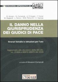 Il danno nella giurisprudenza dei giudici di pace. Itinerari tematici e istruzioni per l'uso  - Libro Il Sole 24 Ore 2009, I percorsi operativi di Guida al Diritto | Libraccio.it