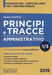 Principi e tracce. Amministrativo. Vol. 1