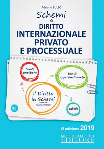 Schemi di diritto internazionale privato e processuale  - Libro Neldiritto Editore 2019, Il diritto in schemi | Libraccio.it