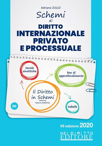 Schemi di diritto internazionale privato e processuale  - Libro Neldiritto Editore 2020 | Libraccio.it