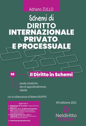 Schemi di diritto internazionale privato e processuale  - Libro Neldiritto Editore 2021, Il diritto in schemi | Libraccio.it