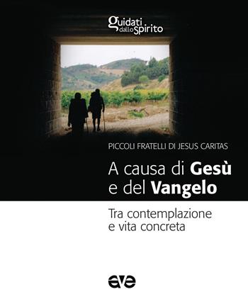 A causa di Gesù e del Vangelo. Tra contemplazione e vita concreta - Gabriele Faraghini - Libro AVE 2018, Guidati dallo Spirito | Libraccio.it
