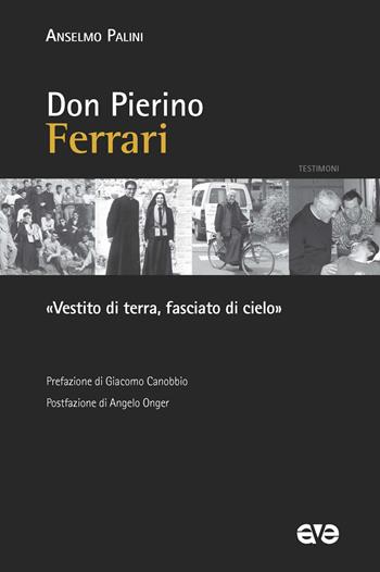 Don Pierino Ferrari. «Vestito di terra, fasciato di cielo» - Anselmo Palini - Libro AVE 2020, Testimoni | Libraccio.it