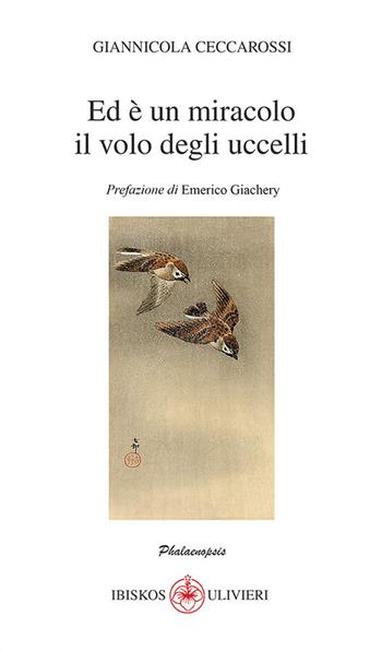 Ed è un miracolo il volo degli uccelli - Giannicola Ceccarossi - Libro Ibiskos Ulivieri 2021, Phalaenopsis | Libraccio.it