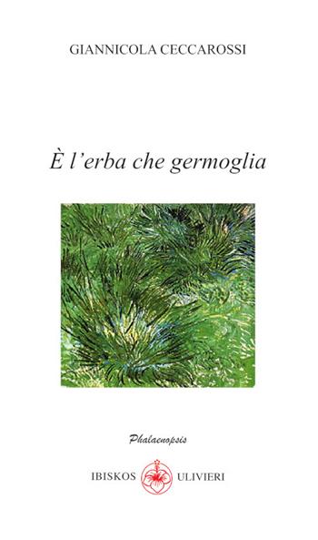 È l’erba che germoglia - Giannicola Ceccarossi - Libro Ibiskos Ulivieri 2024, Phalaenopsis | Libraccio.it