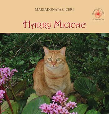 Harry micione - Mariadonata Ciceri - Libro Ibiskos Ulivieri 2024, La volpe e l'uva | Libraccio.it
