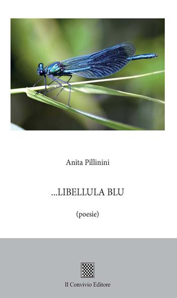 Libellula blu - Anita Pillinini - Libro Il Convivio 2017 | Libraccio.it