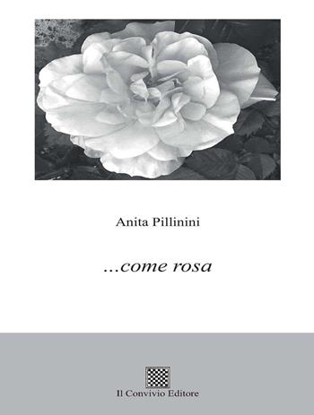 ... come rosa - Anita Pillinini - Libro Il Convivio 2022 | Libraccio.it