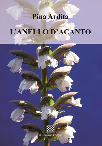 L'anello d'acanto - Pina Ardita - Libro Il Convivio 2023 | Libraccio.it