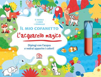 Il mio cofanetto. L'acquarello magico. Ediz. a colori. Ediz. a spirale. Con pennarello. Con 6 tavole - Clémentine Derodit - Libro Librido Gallucci 2024, Libri attività | Libraccio.it