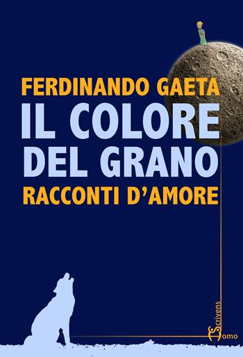 Il colore del grano. Racconti d'amore - Ferdinando Gaeta - Libro Homo Scrivens 2018, Direzioni immaginarie | Libraccio.it