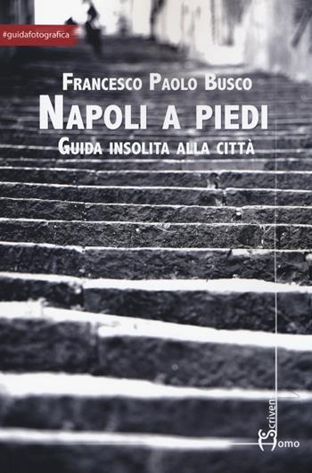 Napoli a piedi. Guida insolita alla città - Francesco Paolo Busco - Libro Homo Scrivens 2018, Arti | Libraccio.it