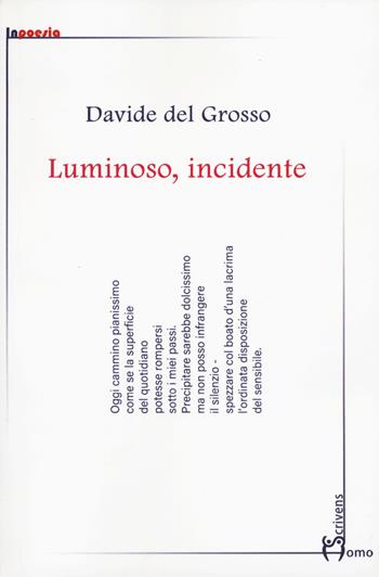 Luminoso, incidente - Davide Del Grosso - Libro Homo Scrivens 2022, InPoesia | Libraccio.it