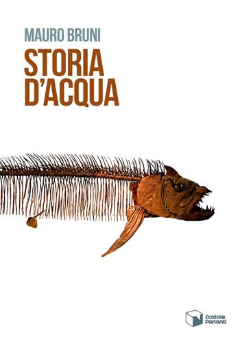 Storia d'acqua - Mauro Bruni - Libro Scatole Parlanti 2017, Voci | Libraccio.it