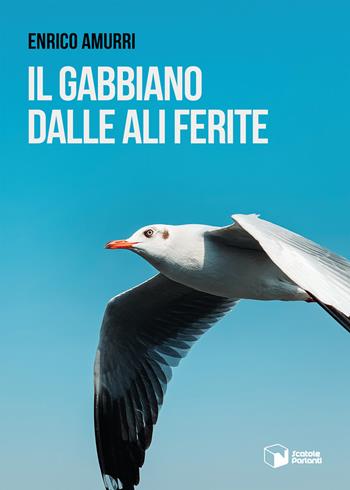 Il gabbiano dalle ali ferite - Enrico Amurri - Libro Scatole Parlanti 2021, Forme | Libraccio.it