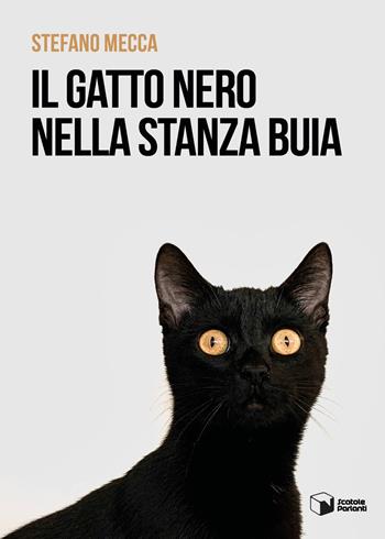 Il gatto nero nella stanza buia - Stefano Mecca - Libro Scatole Parlanti 2021, Voci | Libraccio.it