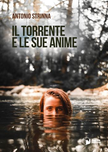 Il torrente e le sue anime - Antonio Strinna - Libro Scatole Parlanti 2023, Voci | Libraccio.it