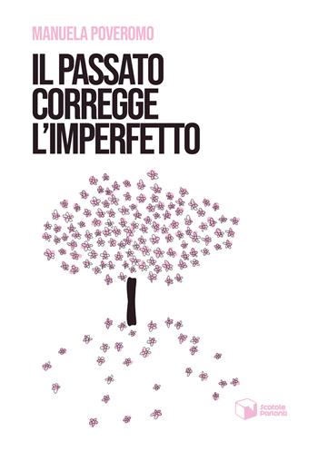 Il passato corregge l'imperfetto - Manuela Poveromo - Libro Scatole Parlanti 2025, Voci | Libraccio.it