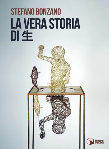 La vera storia di ? - Stefano Bonzano - Libro Scatole Parlanti 2025, Soffi | Libraccio.it