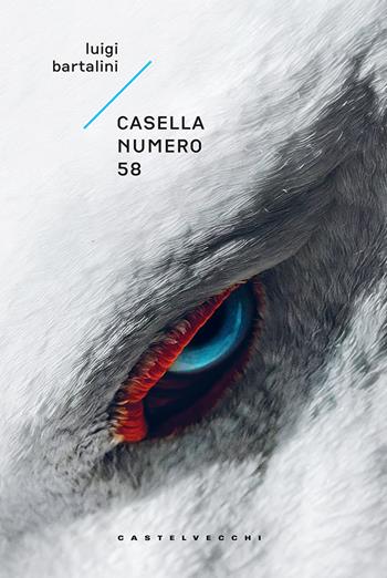 Casella numero 58 - Luigi Bartalini - Libro Castelvecchi 2017, Narrativa | Libraccio.it