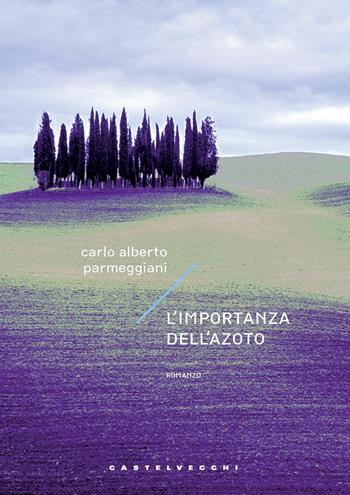 L'importanza dell'azoto - Carlo Alberto Parmeggiani - Libro Castelvecchi 2020, Narrativa | Libraccio.it
