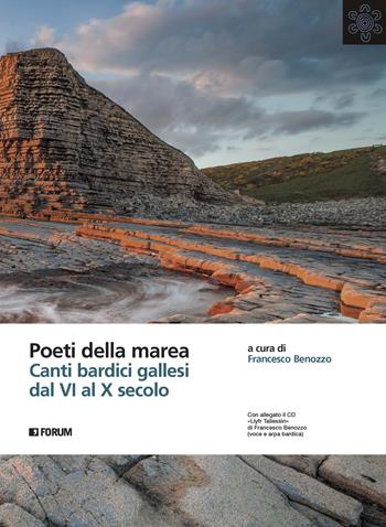 Poeti della marea. Canti bardici gallesi dal VI al X secolo. Con "Llyfr Taliesin"  - Libro Forum Edizioni 2022, All | Libraccio.it