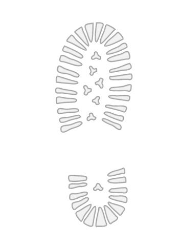 Multiverso (2022). Vol. 17: Impronta.  - Libro Forum Edizioni 2022 | Libraccio.it