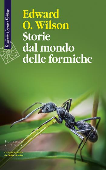 Storie dal mondo delle formiche - Edward O. Wilson - Libro Raffaello Cortina Editore 2021, Scienza e idee | Libraccio.it