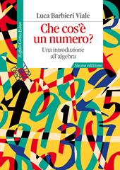 Che cos'è un numero? Una introduzione all'algebra. Nuova ediz.