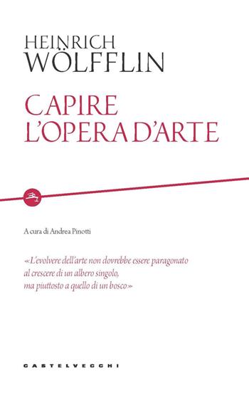 Capire l'opera d'arte - Heinrich Wölfflin - Libro Castelvecchi 2022, Etcetera | Libraccio.it