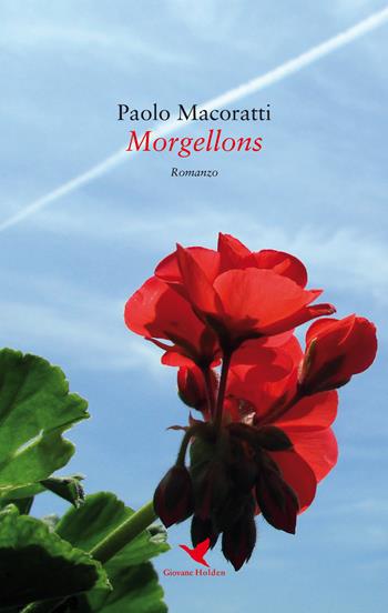 Morgellons - Paolo Macoratti - Libro Giovane Holden Edizioni 2017, Mysterious Park | Libraccio.it