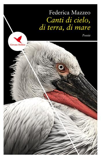 Canti di cielo, di terra, di mare - Federica Mazzeo - Libro Giovane Holden Edizioni 2019, Spesso sottile | Libraccio.it