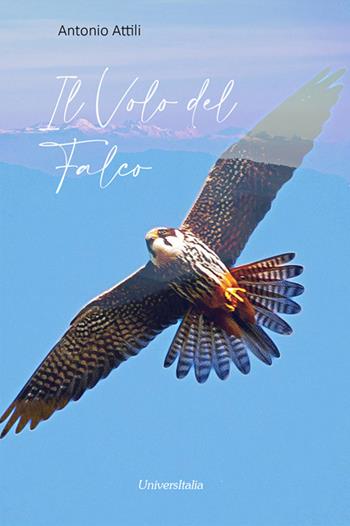 Il volo del falco. Ediz. per la scuola - Antonio Attili - Libro Universitalia 2022, Il roseto | Libraccio.it