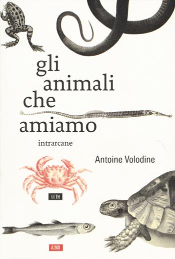 Gli animali che amiamo - Antoine Volodine - Libro 66thand2nd 2017, Bookclub | Libraccio.it